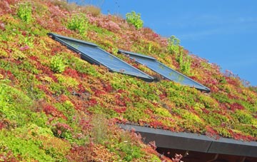 Lamyatt living roof systems